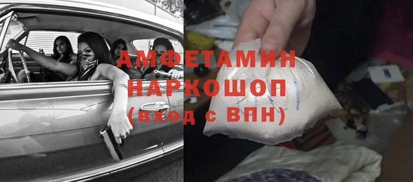 хмурый Алексин