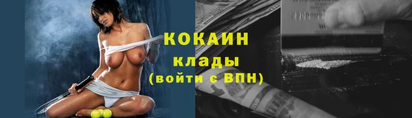 хмурый Алексин
