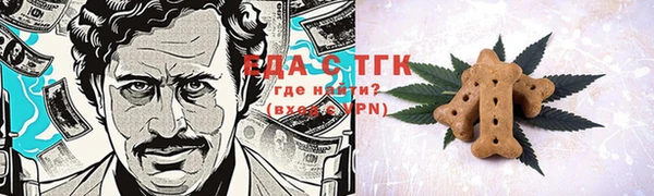 гидра Покачи