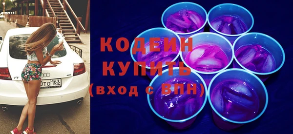 хмурый Алексин