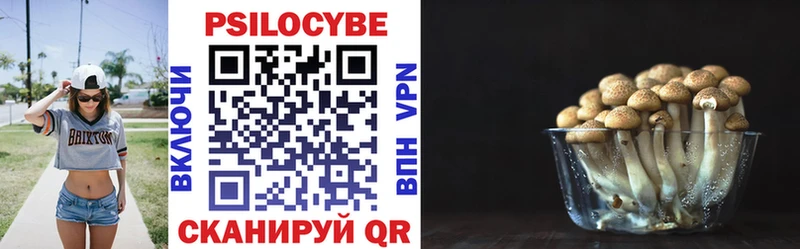 Псилоцибиновые грибы GOLDEN TEACHER  Починок 